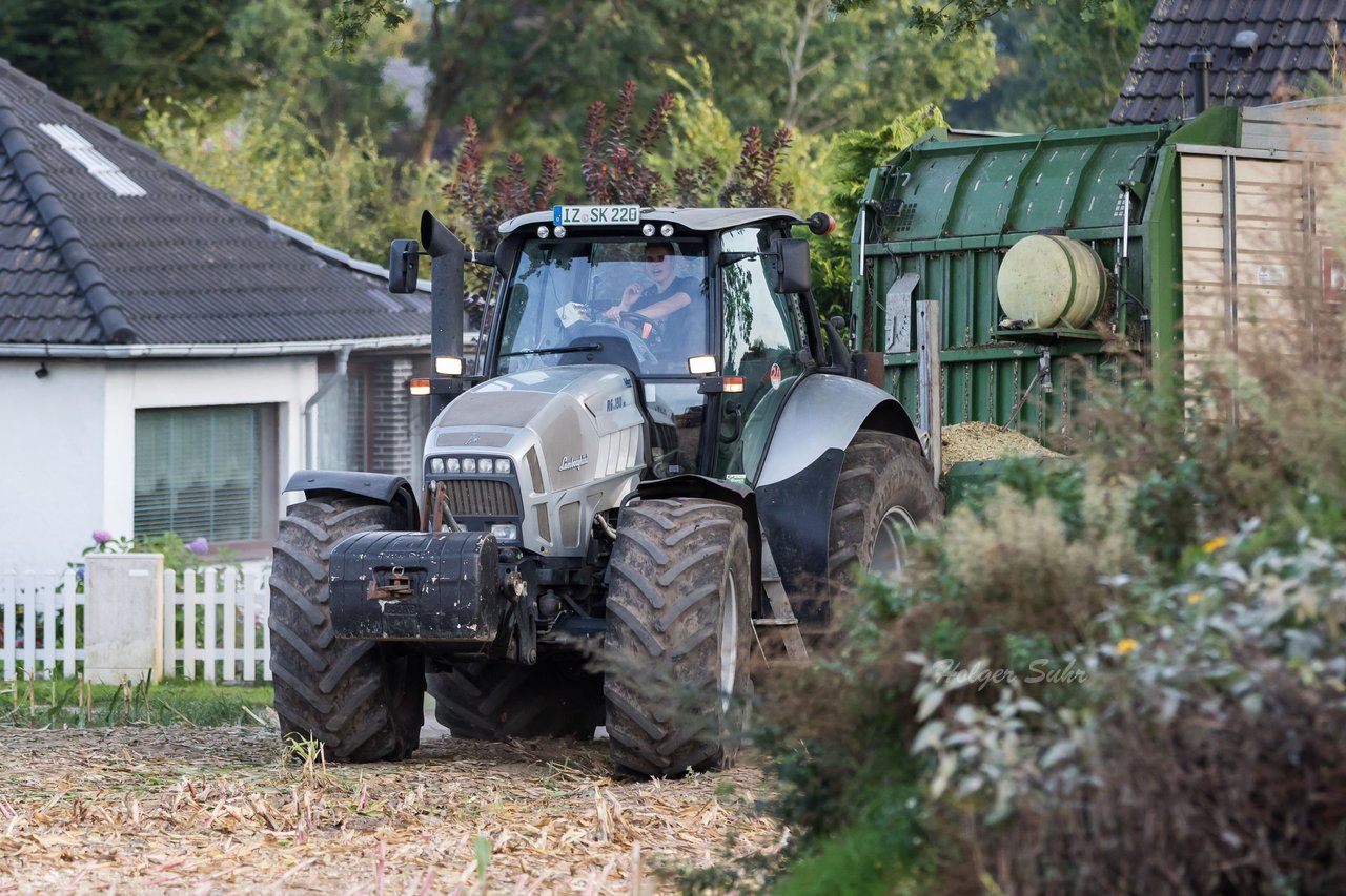 Bild 100 - Maisernte 2016